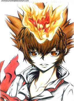 sawada tsunayoshi