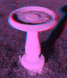 Anaglyph 3D Bird Feeder