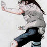 Neji Gentle Fist Fighter