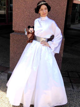 Disney Princessified Leia Gown