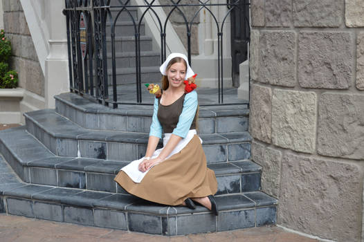 Cinderella's Work Dress