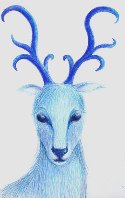 Blue deer, close-up