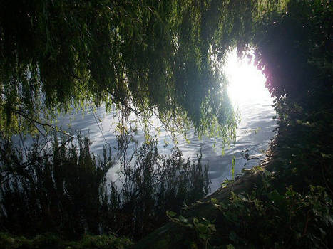 Sunlight on Water