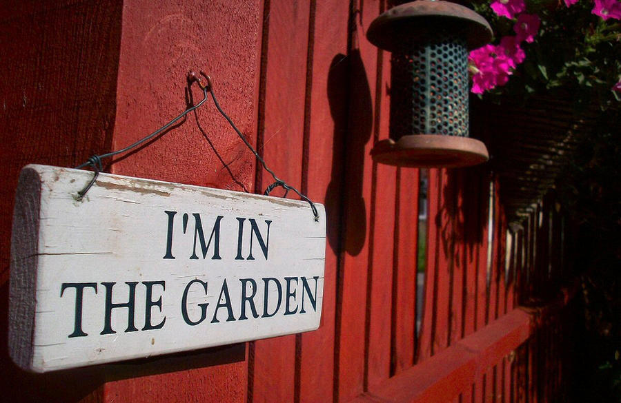 'I'm in the garden'