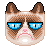 FREE Grumpy Cat Icon