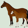 (CLOSED) Mare and Foal Adopt (02)