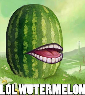 Lolwutermelon XD