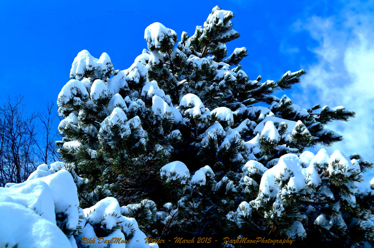 00-Winter-March-2015-SAM-0532-HDR-WP-Master