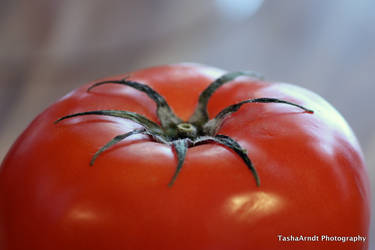 Tomato