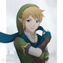 Hyrule Warriors: Link