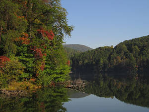 Colored Reflection