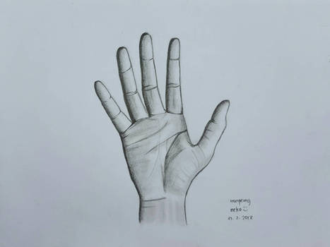 Drawing of my hand 