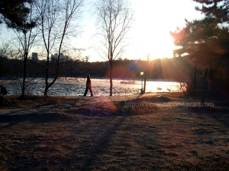 A Lonely Walk In the Park