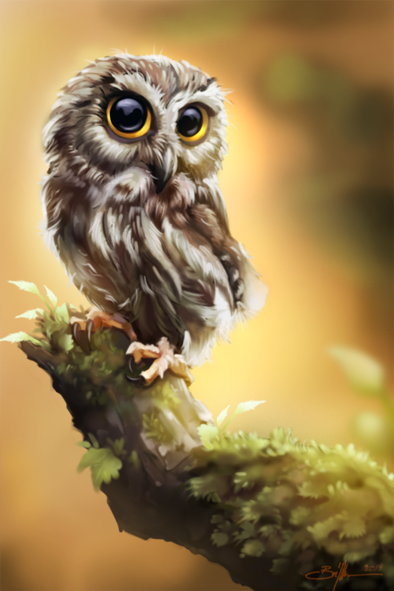 Owl by RebelRacoons on DeviantArt