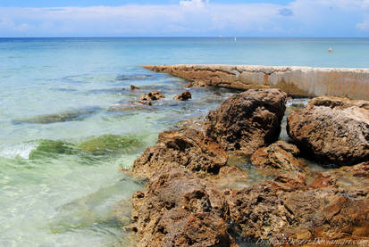 Rocky Shoreline