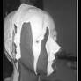 plaster and clay