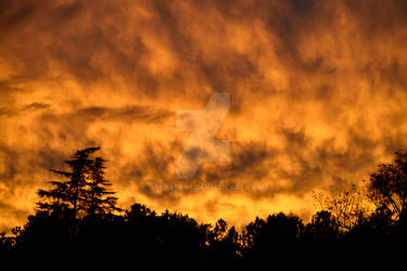 Sunsets of South Carolina by Stetabebe