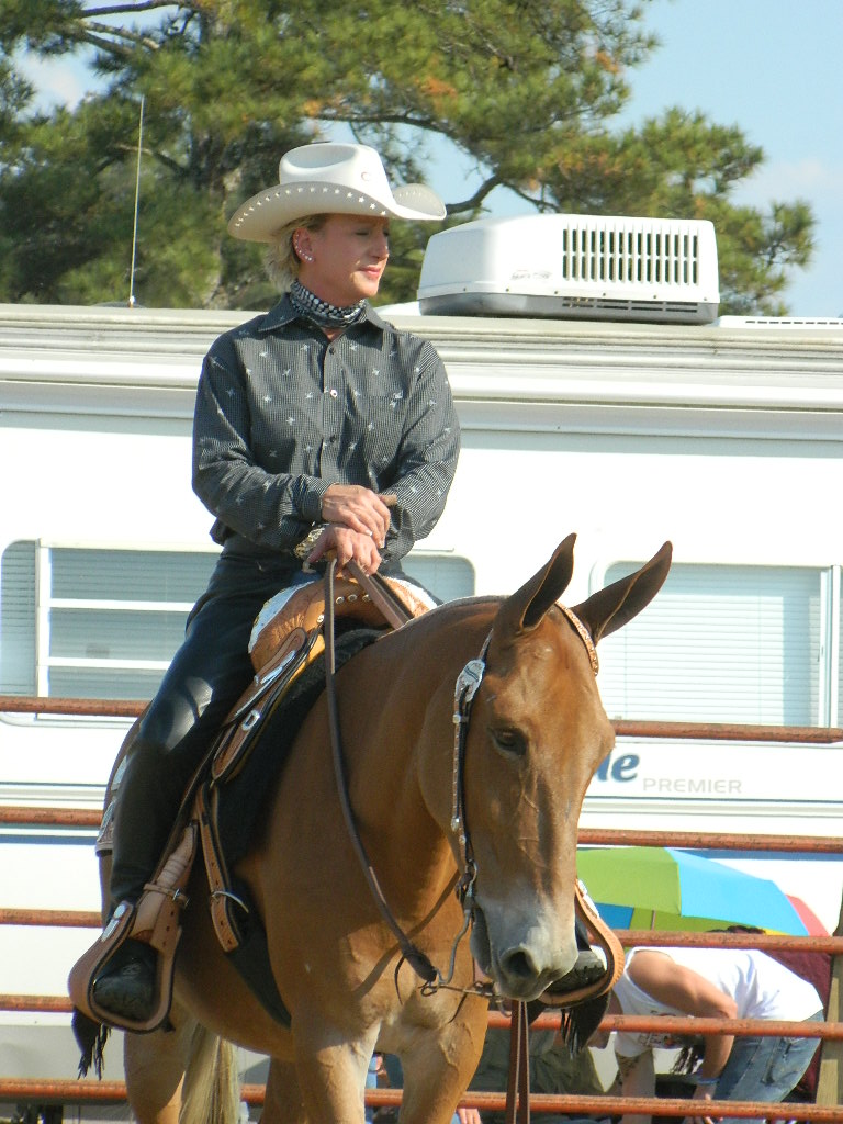 Mule Day-Calvary-Georgia17