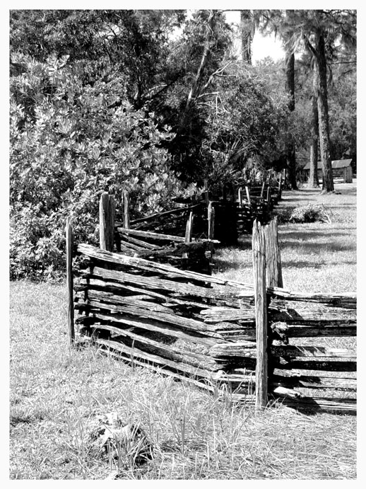 Split Rail View