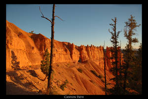 Canyon Path