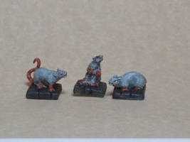 Gray Rats