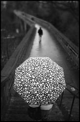 Umbrella on a bridge