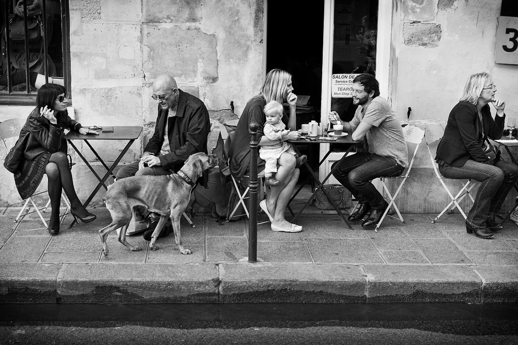 Boy and Dog