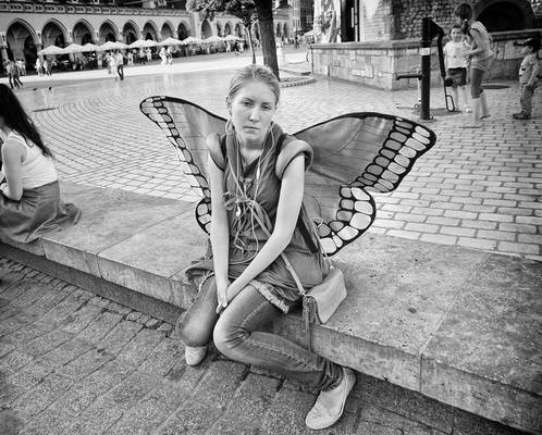 Butterfly