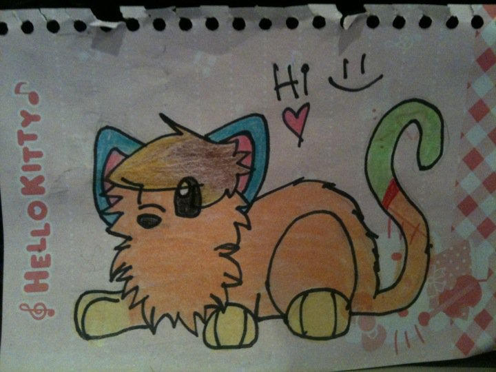 Scene Kitty Scene Kitty :3 by Isabela1 on DeviantArt