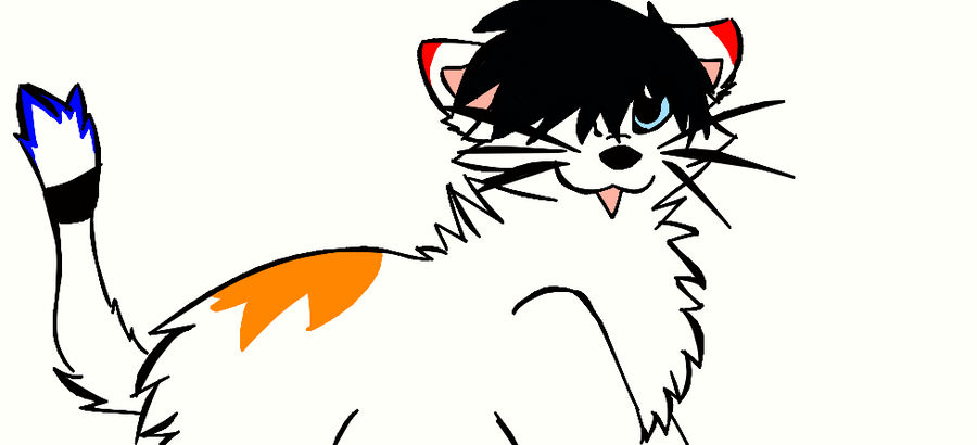 Random Kitty by Isabela1 on DeviantArt