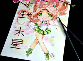 Chibi Sailor Jupiter