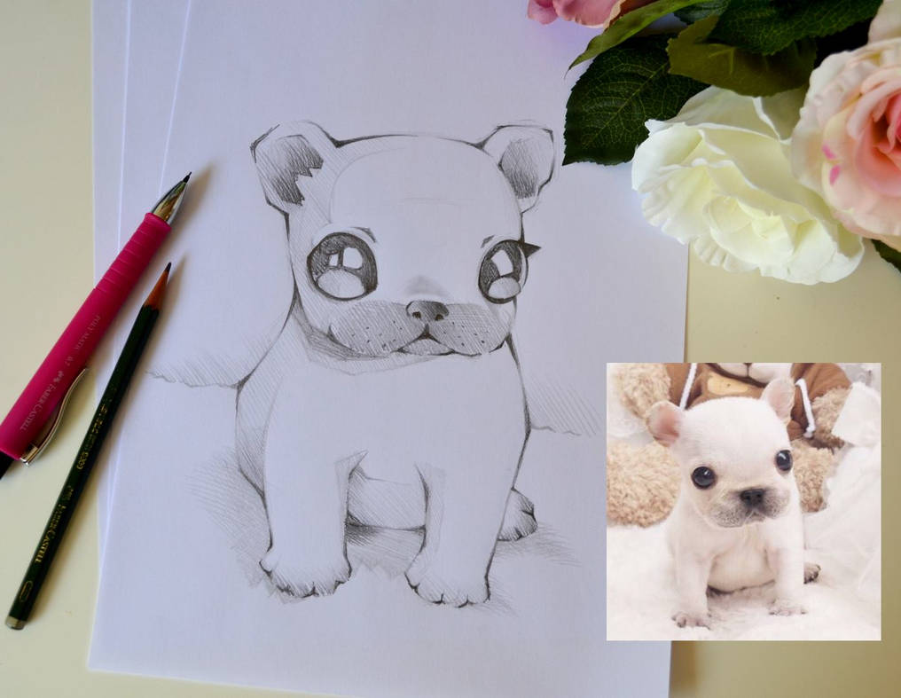 Cute French Bulldog by Lighane Cute French Bulldog by Lighane
