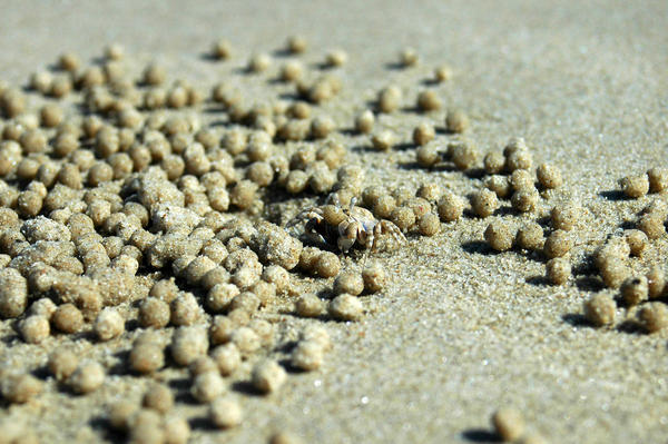 Sandy balls