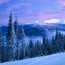 Carpathian Sunset