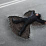 Asphalt Angel