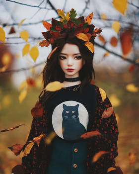 october leaves I