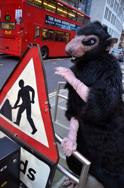 Pox: The Black Rat of London