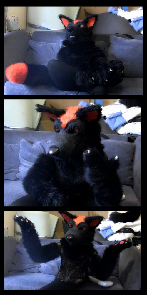 Black+Red Wolf Partial Fursuit