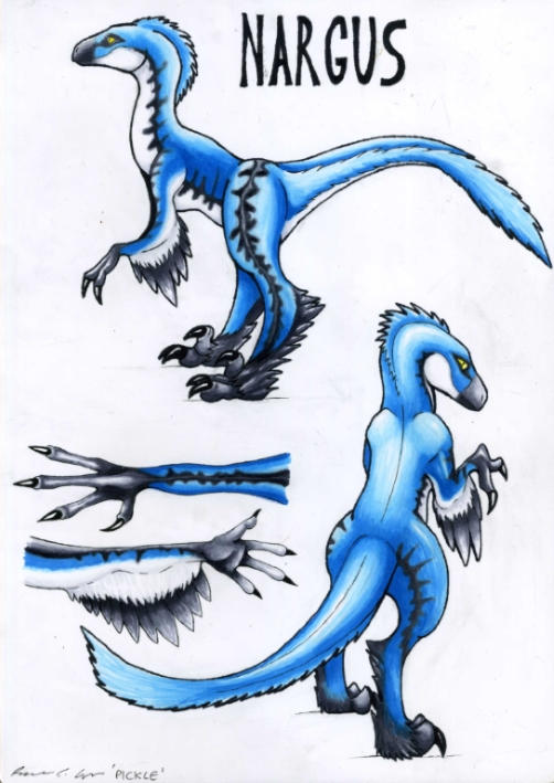 Api Nargus 2 Nargus Reference Sheet by CuriousCreatures on DeviantArt