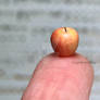 1:12th scale miniature apple