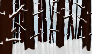 Snowy Forest