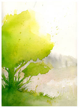 watercolours 01