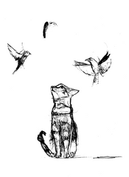 Cat And Birds