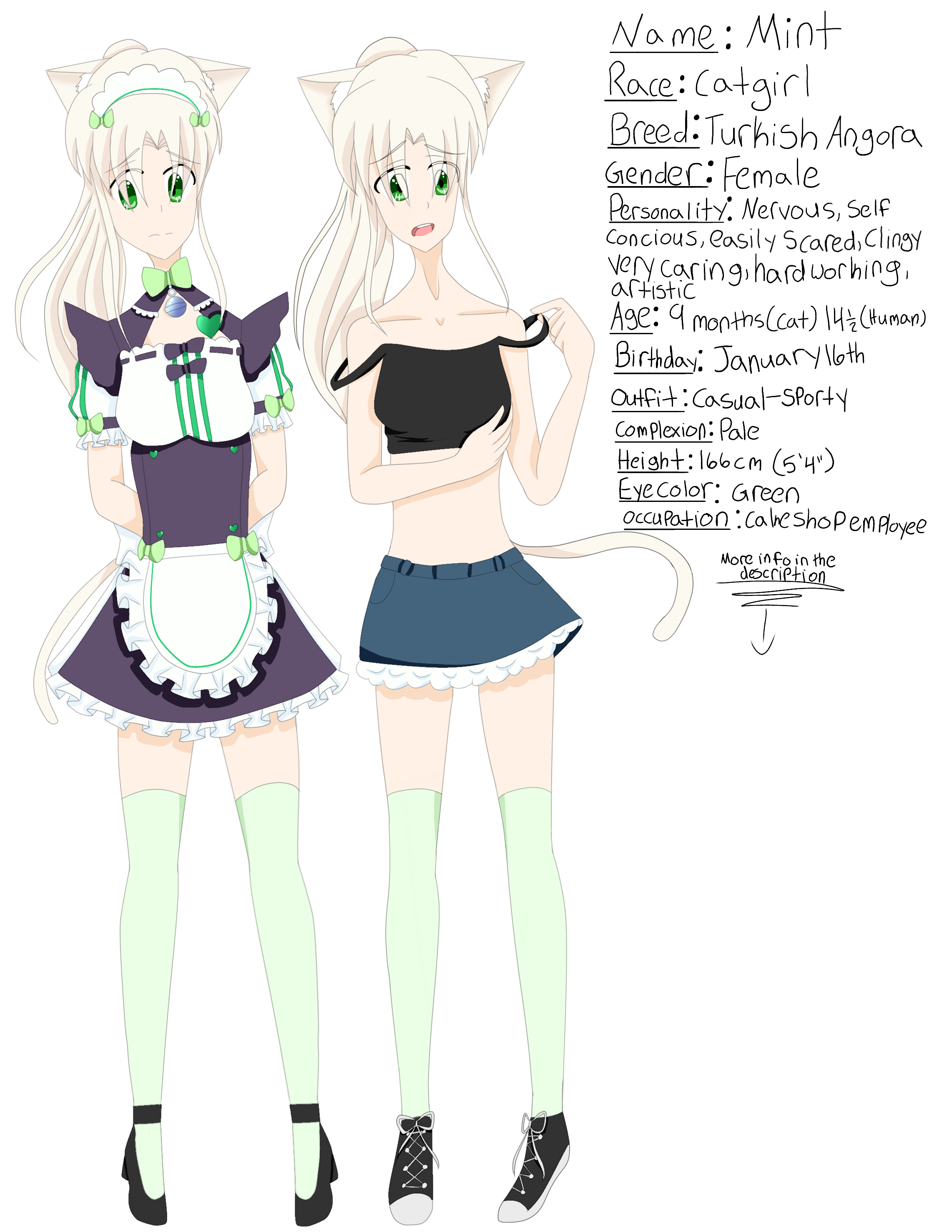 Mint Reference Sheet