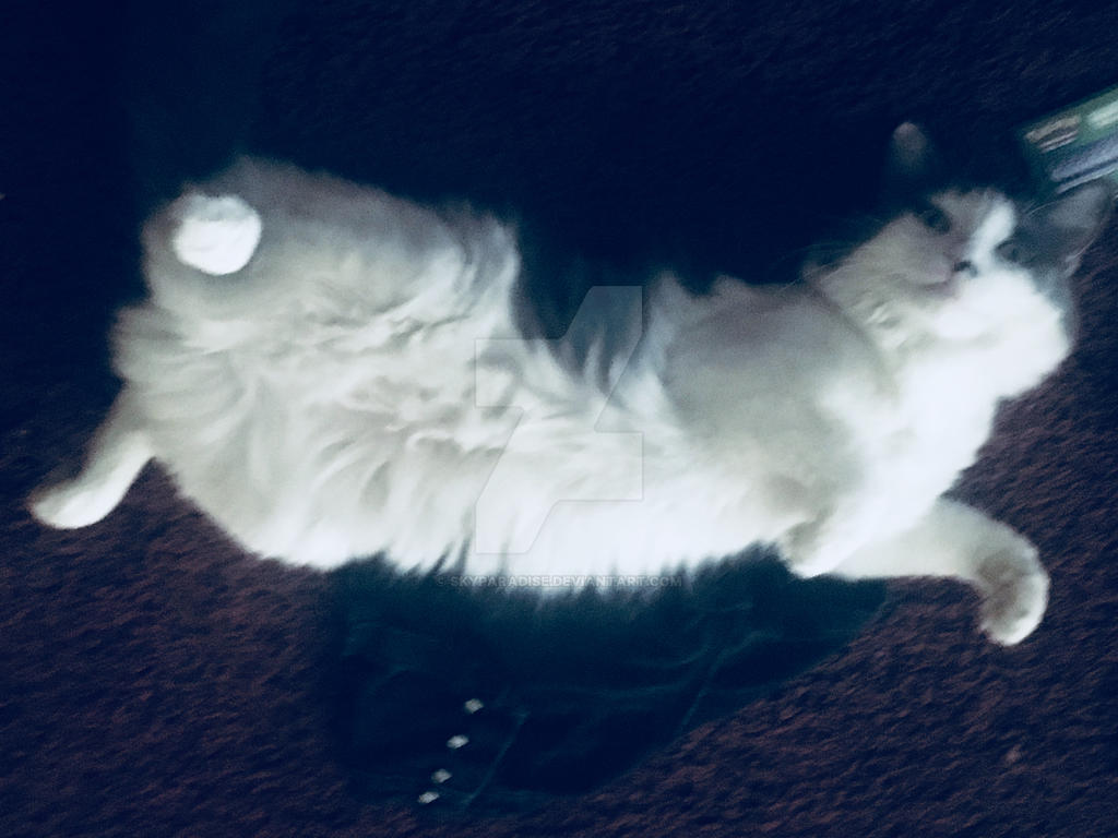 Alex The Cat by skyparadise on DeviantArt