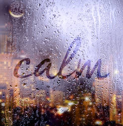 rain outside, calm inside