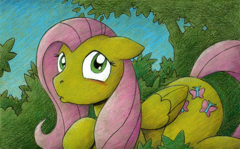 Flutter Deviantart Flutter by drakefenwick on DeviantArt
