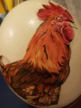 Rooster Ostrich Egg