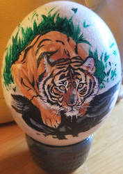 Tiger Egg