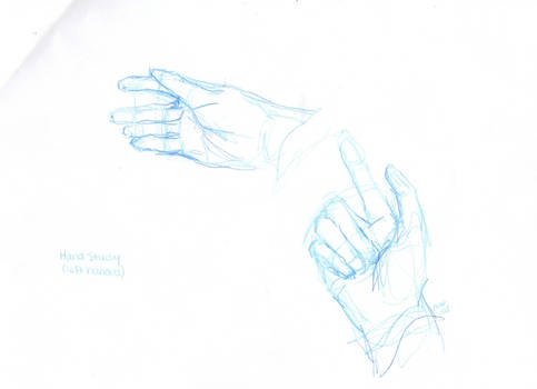 Hand Sketches 1